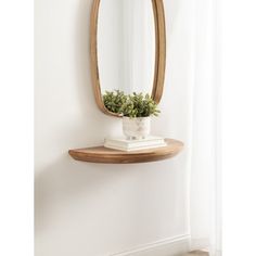 a round mirror hanging on the wall above a shelf with a potted plant in it