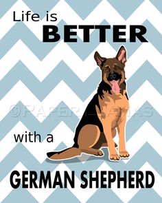 a german shepherd dog sitting in front of a chevron background