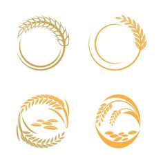 four different types of wheat in the shape of a circle on a white background illustration