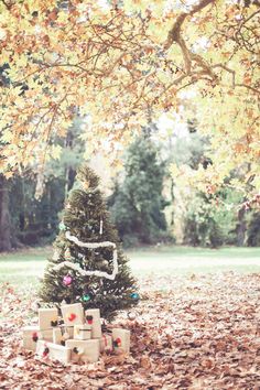 a small christmas tree surrounded by presents under a large tree in the fall with leaves on the ground