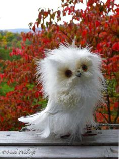 a white stuffed owl sitting on top of a wooden table next to red bushes and trees