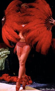 a woman in a red feathered costume on stage