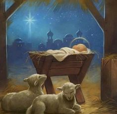 a baby in a manger with two lambs laying on the ground next to it