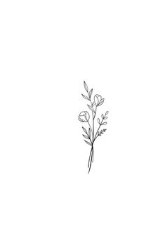 a black and white drawing of flowers on a white background