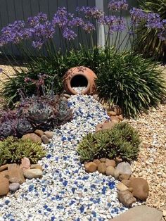 a garden with rocks and plants in it