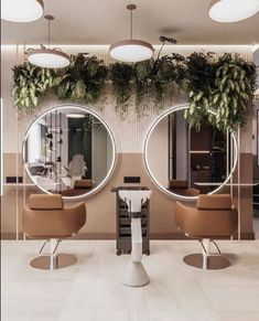 the salon is decorated with mirrors and plants