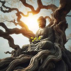 a buddha statue sitting on top of a tree next to a sun shining through the branches