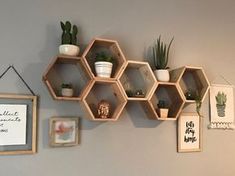 several hexagonal shelves are hanging on the wall with plants and pictures around them