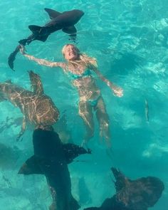 a woman is swimming in the water surrounded by sharks and other sea animals, with her arms outstretched