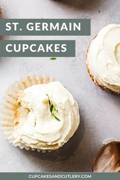 cupcakes with cream frosting and sprigs on top, surrounded by other cupcakes