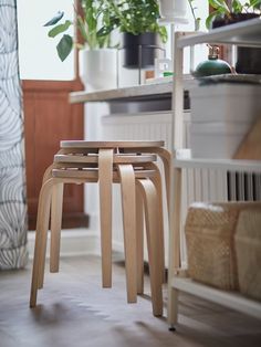 three wooden stools sitting on top of a hard wood floor next to a plant