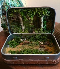 two tins filled with plants and rocks on top of a table