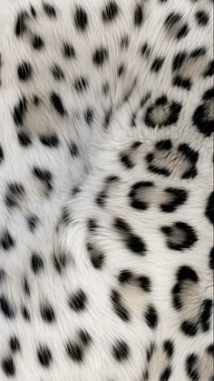 an animal print with black spots on it's fur, as seen from above