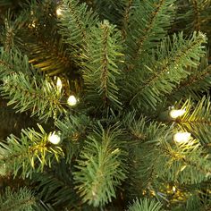 a close up view of the branches of a christmas tree with lights on it's needles