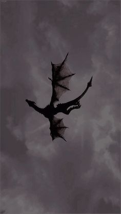 a black and white photo of a dragon flying in the sky