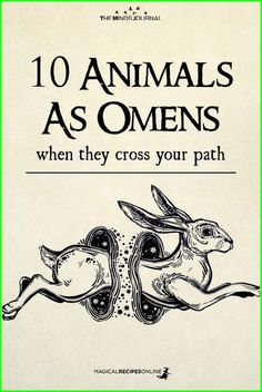 Animals As Omens, Animal Omens, Spirit Animal Meaning, Animal Meanings, 10 Animals, Pagan Spirituality, Animal Spirit Guides, Magick Spells, Wiccan Spell Book