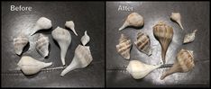 two pictures of sea shells and the same one is before and after