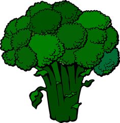 a green broccoli plant on a white background