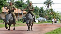 two men riding on the backs of donkeys down a dirt road with palm trees in the background