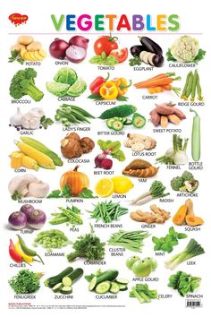 an image of vegetables that are labeled in the english language, including broccoli, carrots, zucchini, squash, eggplant, and more