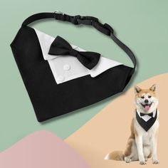 a dog wearing a tuxedo and bow tie sitting next to a black purse