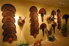 an assortment of turkey heads mounted on the wall in a room with plants and fake animals