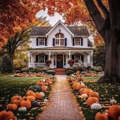 a house with lots of pumpkins on the ground in front of it and some trees