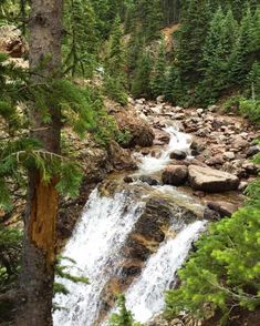 a small waterfall in the middle of a forest with rocks and pine trees around it