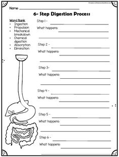 worksheet for the g - step digest process