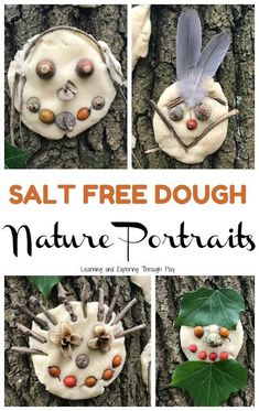 the cover of salt free dough nature portraits with pictures of bugs, leaves and acorns