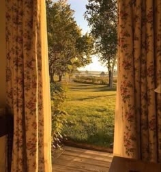 an open door leading to a lush green field