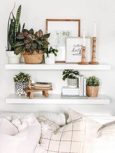 a living room filled with lots of furniture and plants on top of white shelving