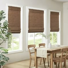 a dining room table and chairs with roman shades on the windows above them, in front of a potted plant