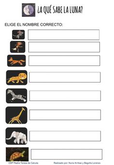 an animal worksheet with pictures of different animals and their names in the form of letters