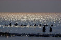 several people are in the water with their surfboards