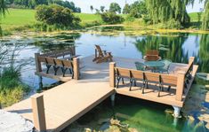 a wooden dock sitting next to a lake filled with green plants and water lilies