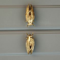 two gold bugs sitting on the side of a gray cabinet door, one with its eyes closed