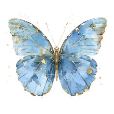 a blue butterfly with gold spots on its wings