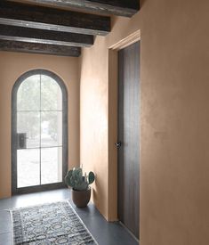 a doorway with a rug and potted cactus in it