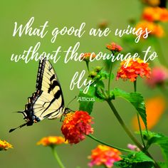 a butterfly sitting on top of flowers with a quote about what good are wings without the courage to fly