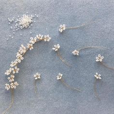 some white flowers are laying on the ground