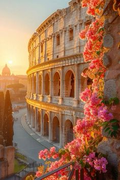 the roman colossion at sunset with pink flowers growing on it