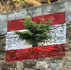 a small tree growing out of the side of a stone wall with a flag painted on it