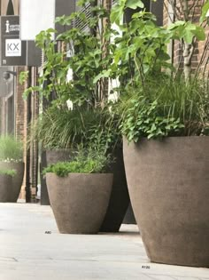 three large planters with plants growing in them