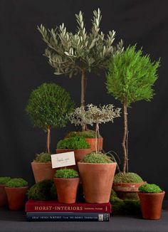 several potted plants are sitting on top of each other in front of a black background