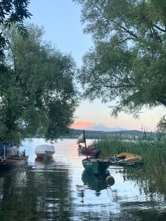 several small boats floating on top of a lake next to tall grass and trees with the sun setting in the background