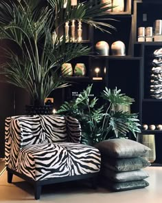 a zebra print chair sitting in front of a plant