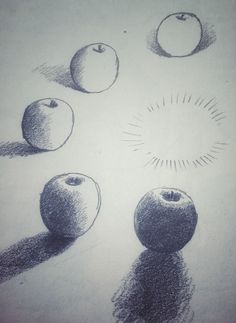 pencil drawing of apples in different stages of development