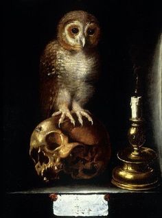 an owl sitting on top of a human skull next to a candle and other items