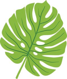 a green leaf is shown on a white background